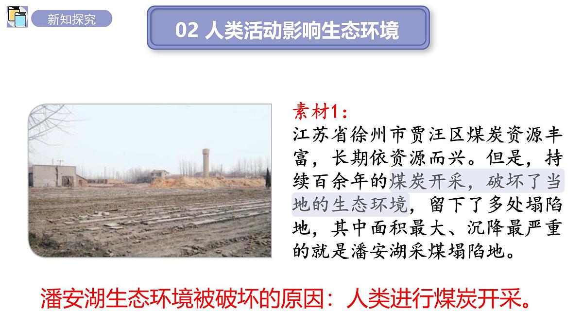 2024-2025学年苏教版初中生物七年级下册3.8.2生态安全 课件第7页