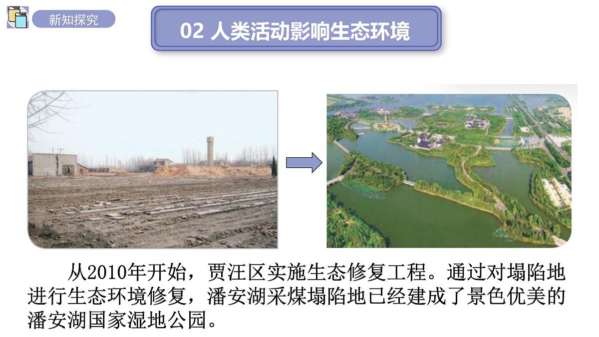 2024-2025学年苏教版初中生物七年级下册3.8.2生态安全 课件第8页