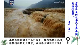 2024-2025學(xué)年蘇教版初中生物七年級(jí)下冊(cè)4.10.2 生物圈中的水循環(huán)（第1課時(shí)）課件