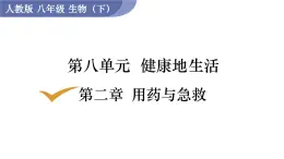 2025年春人教版生物八年級下冊教學(xué)課件 第8單元 第2章 用藥與急救