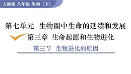 2025年春人教版生物八年級下冊教學(xué)課件 第7單元 第3章 第3節(jié) 生物進化的原因