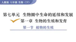 2025年春人教版生物八年級下冊教學(xué)課件 第7單元 第1章 第1節(jié) 植物的生殖