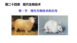 2025年春蘇教版生物八年級下冊教學(xué)課件 第24章  第1節(jié) 現(xiàn)代生物技術(shù)的應(yīng)用