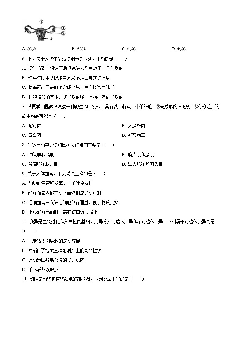 2025年西藏日喀则市昂仁县八年级中考一模生物试题(中考模拟 )第2页