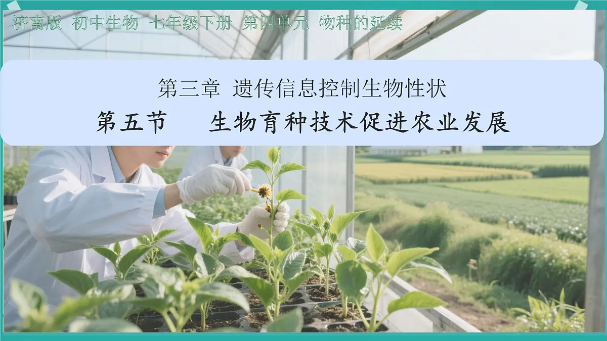 初中 生物 济南版(2024)七年级下册4.3.5 生物育种技术促进农业发展 课件第1页