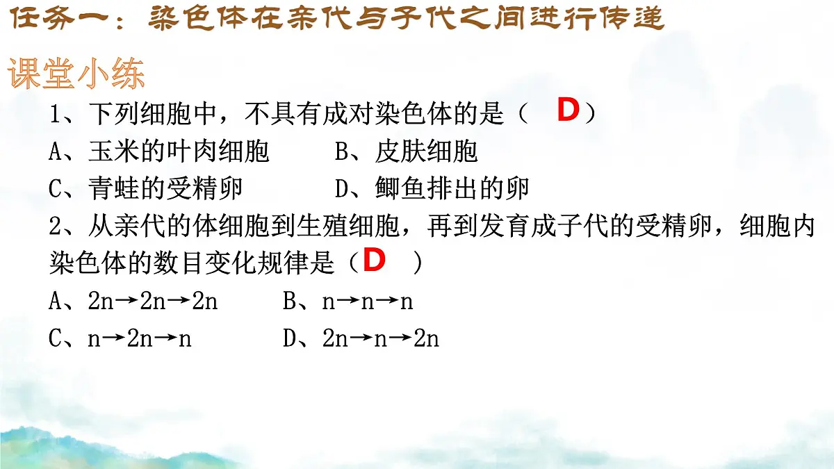 初中 生物 济南版(2024)七年级下册4.3.3 性染色体决定人的性别 课件第5页