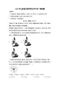 2025年山西省吕梁市孝义市中考一模生物试卷（解析版）