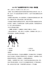 2025年广东省揭阳市普宁市八年级一模 生物试卷（解析版）