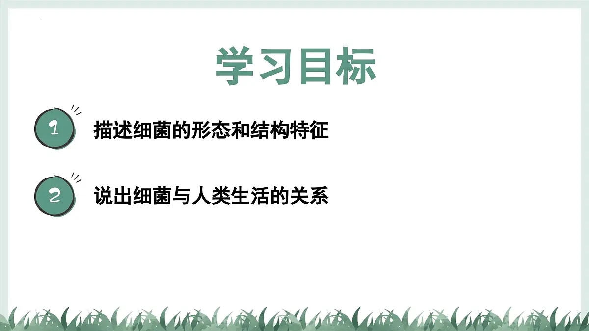 2.2.2细菌课件-2024--2025学年冀少版生物七年级上册第2页