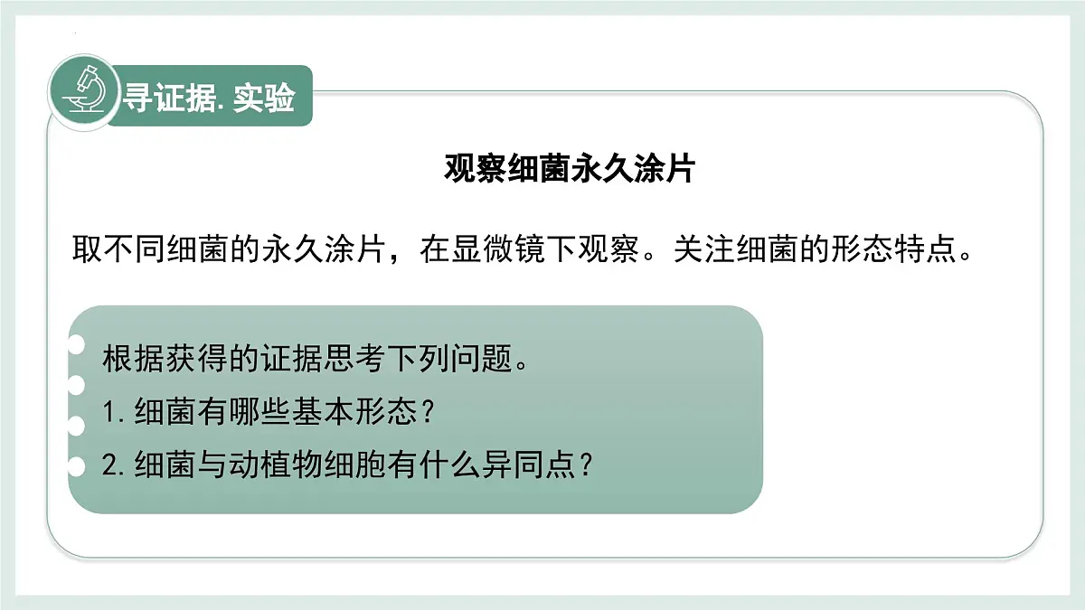 2.2.2细菌课件-2024--2025学年冀少版生物七年级上册第4页