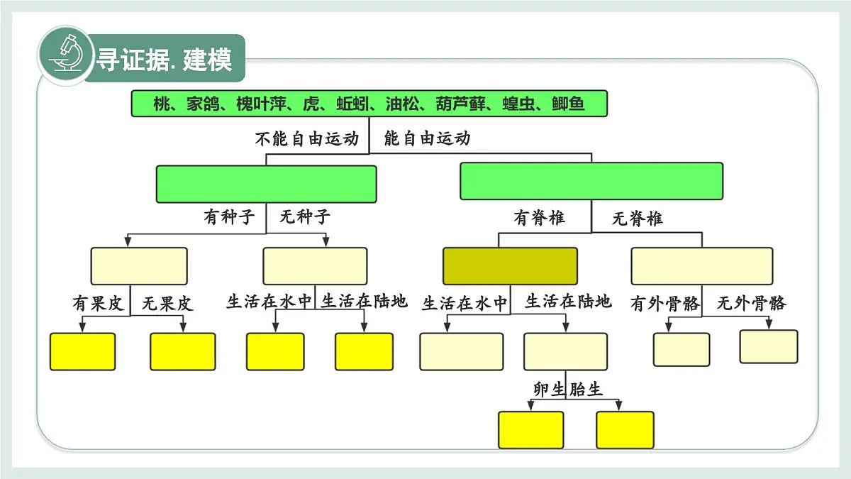 2.3.1生物的分类课件-2024--2025学年冀少版生物七年级上册第5页