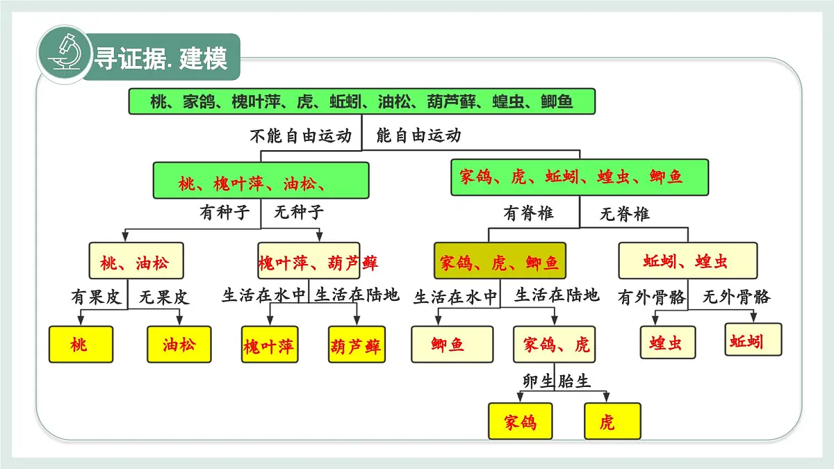 2.3.1生物的分类课件-2024--2025学年冀少版生物七年级上册第6页