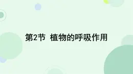 初中 生物 蘇教版（2024）七年級(jí)下冊(cè)4.11.2 植物的呼吸作用 課件
