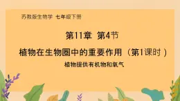 初中 生物 蘇教版（2024）七年級(jí)下冊(cè)4.11.4 植物在生物圈中的重要作用（第1課時(shí)） 課件