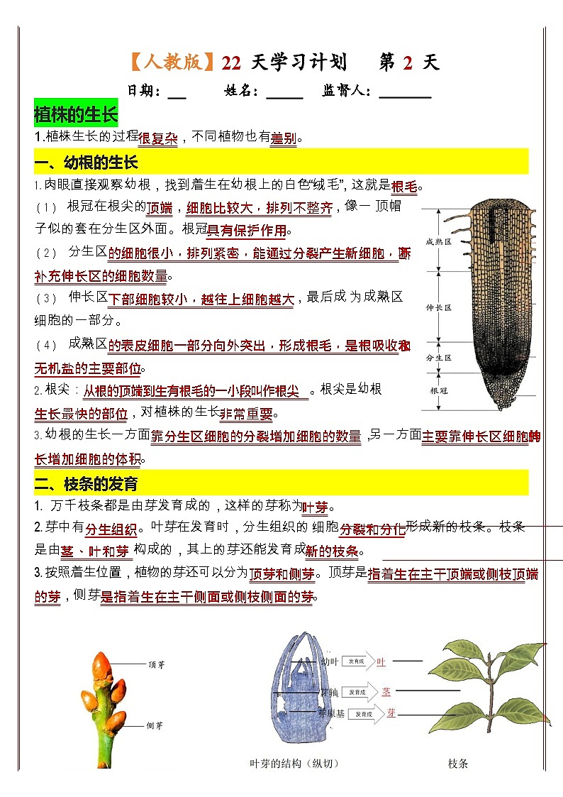 七年级下册生物知识清单(人教版2025)22天学习计划(背记版)第2页