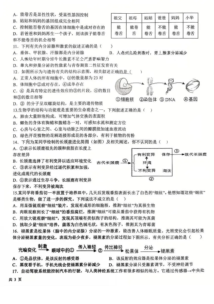 2025年河北省石家庄市第四十中学八年级中考二模生物试卷(中考模拟)第2页