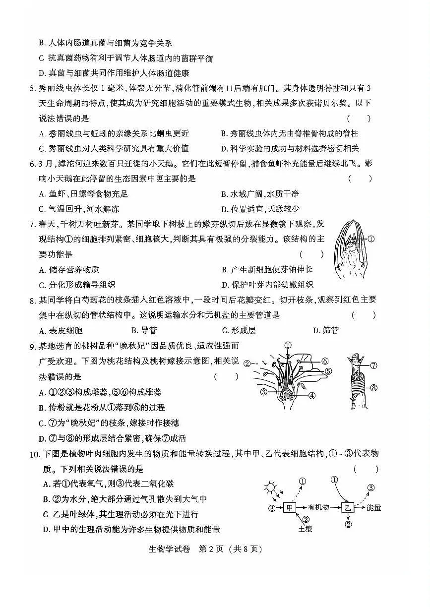 2025年河北省石家庄市第八十一中学中考二模生物试卷第2页