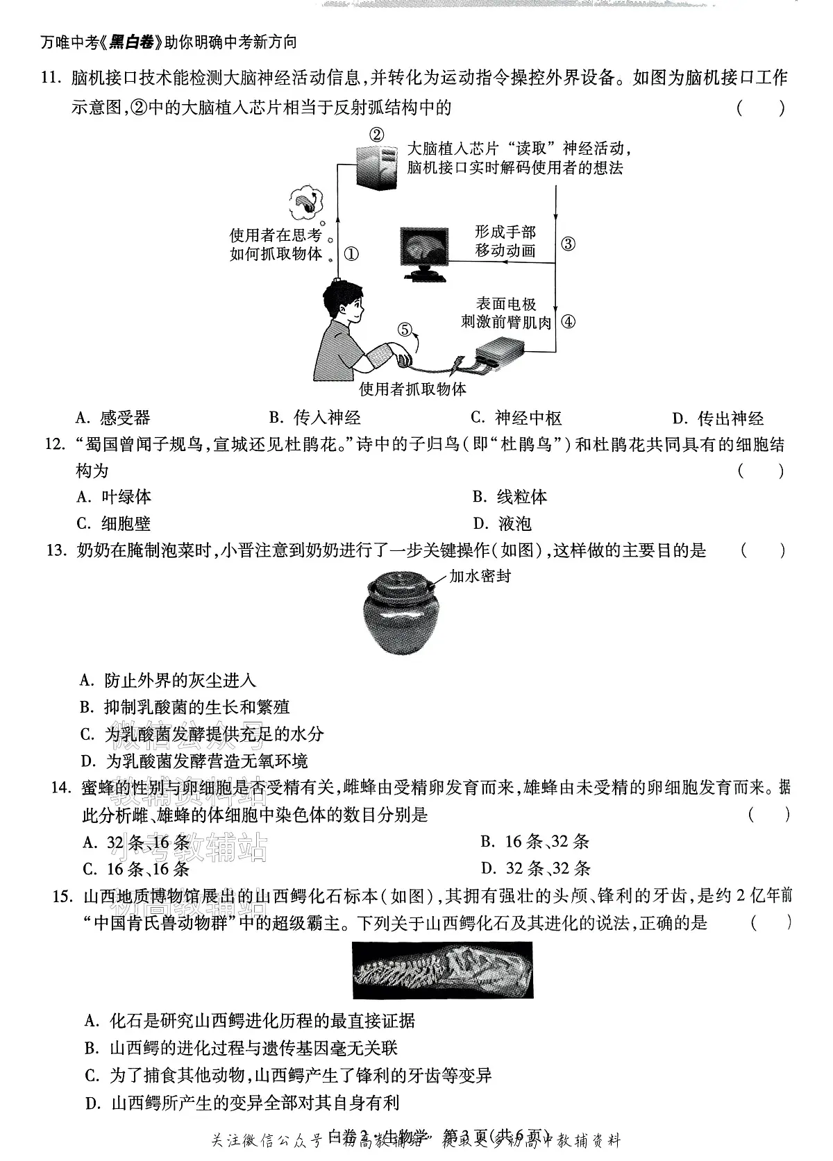 2025《万唯中考•山西黑白卷》生物白卷2第3页