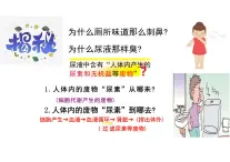 人教版生物七年級下冊4.5《人體內廢物的排出》課件