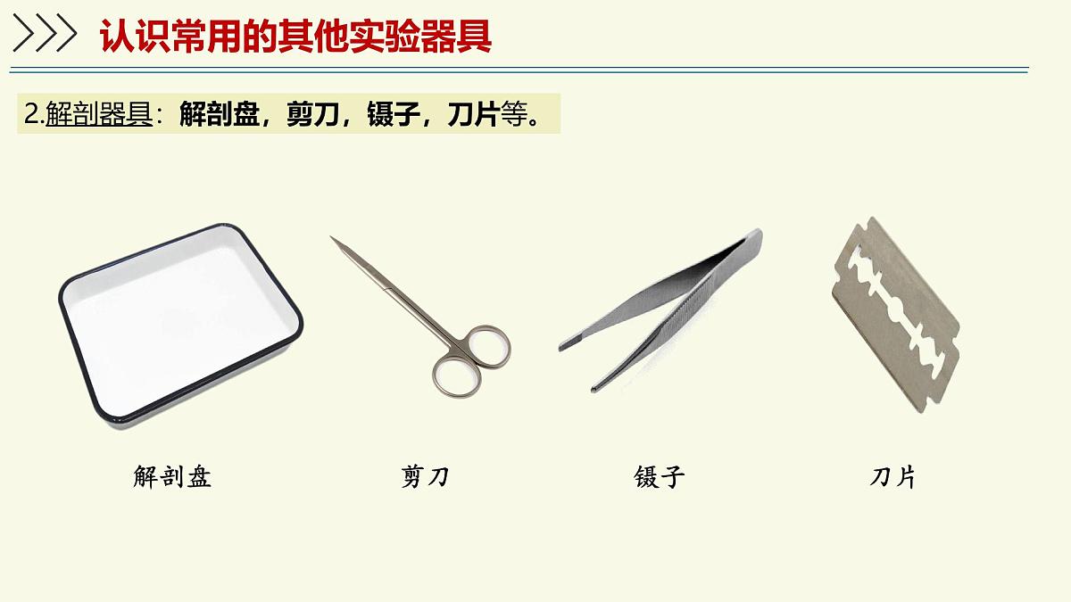 1.1.1走进生物学实验室-第2课时(教学课件)——初中生物学苏教版(2024)七年级上册第6页