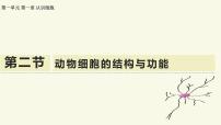 初中苏教版（2024）动物细胞的结构与功能教学课件ppt