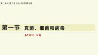 初中真菌、细菌和病毒教学ppt课件