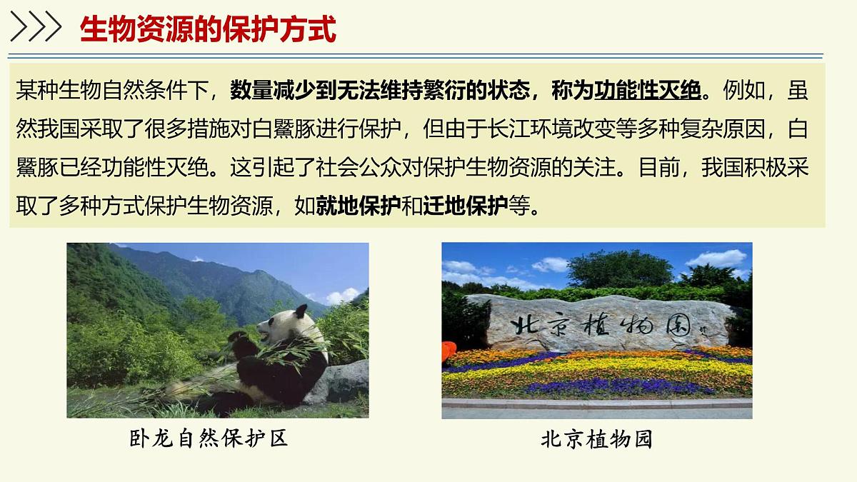 2.6.3生物资源的保护(教学课件)——初中生物学苏教版(2024)七年级上册第4页