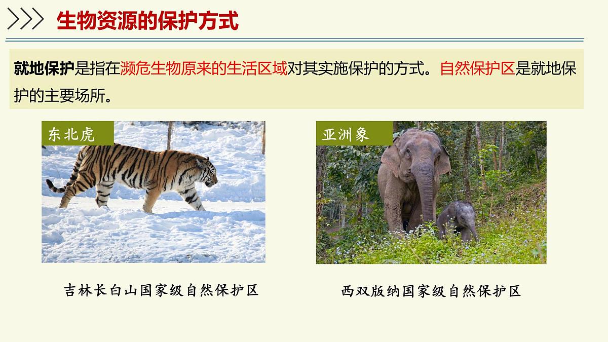2.6.3生物资源的保护(教学课件)——初中生物学苏教版(2024)七年级上册第5页