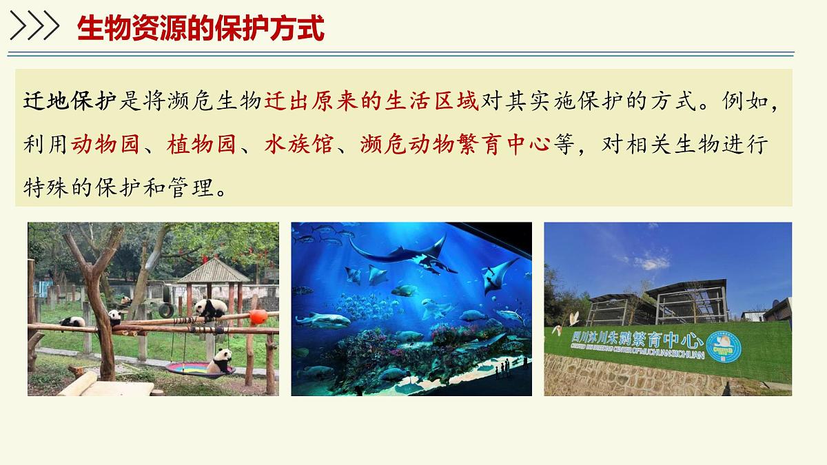 2.6.3生物资源的保护(教学课件)——初中生物学苏教版(2024)七年级上册第8页