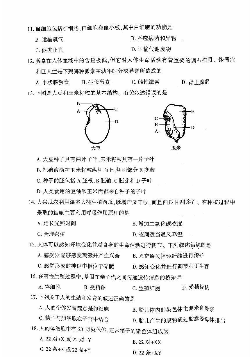 2023北京大兴初二一模生物试卷(含答案)第3页