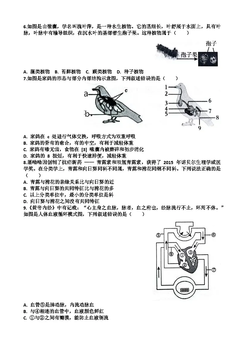2025年济南天桥区八年级生物会考三模考试试题(含答案)第2页