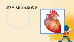 初中生物人教版（2024）七年級下冊4.4 人體內(nèi)物質(zhì)的運輸 復(fù)習課件