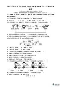 福建省漳州市第三中学2024-2025学年七年级下学期5月月考生物试题