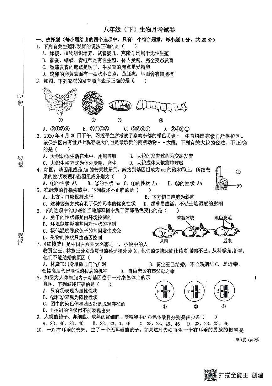河南省南阳市兴宛学校2024-2025学年八年级下学期5月月考生物试题第1页