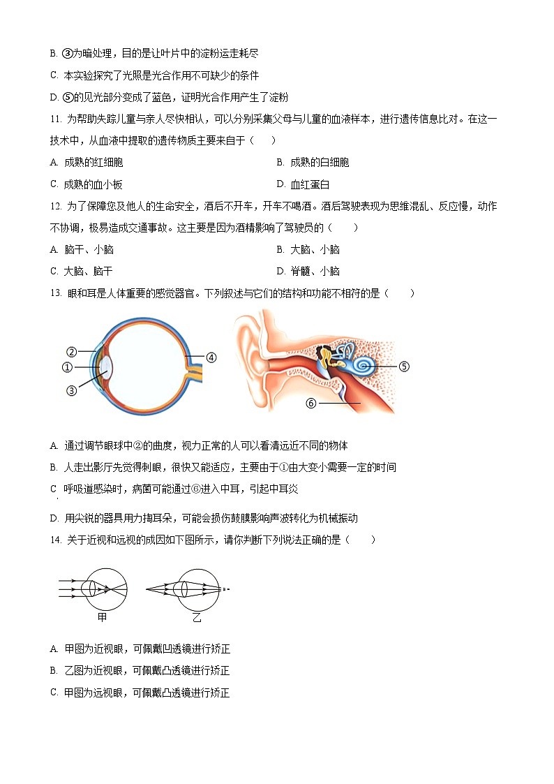 2025年湖南省永州市中考模拟生物试题(中考模拟)第3页
