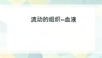 初中生物人教版(2024)七年级下册(2024)流动的组织—血液教学ppt课件