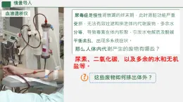 初中 生物 人教版（2024）七年級下冊4.5 人體內(nèi)廢物的排出 課件