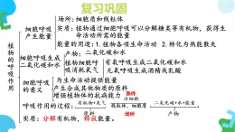 初中 生物 蘇教版（2024）七年級(jí)下冊(cè)4.11.3 光合作用和呼吸作用原理的應(yīng)用 課件