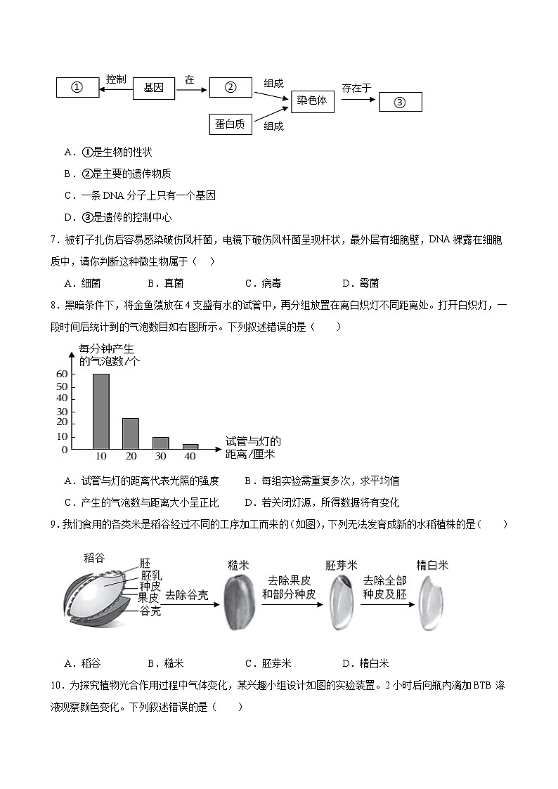 生物(陕西卷)(考试版)第3页