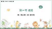 生物七年级上册（2024）病毒教学ppt课件