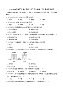 辽宁省大连市甘井子区2023-2024学年七年级下学期期末考试生物试卷