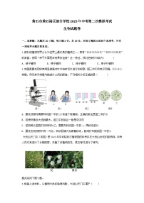 2025年湖北省黄石市黄石港区部分学校中考第二次模拟考试生物试题（中考模拟）