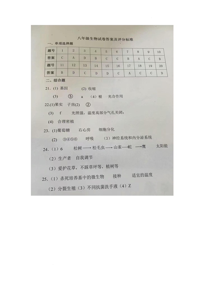 生物 生物试卷答案第1页