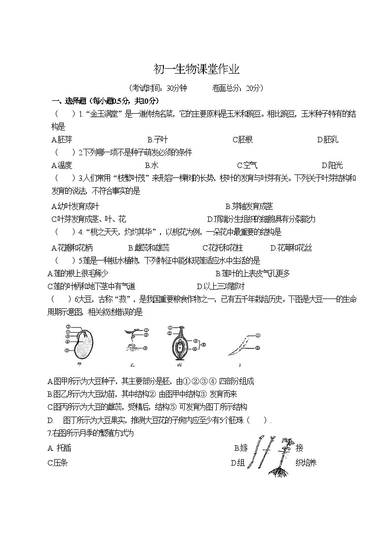 江苏省盐城市三校2024-2025学年七年级下学期5月月考生物试卷(含答案)第1页