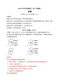 2025年中考考前押题最后一卷:生物(全国通用)(解析版)