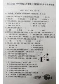 广东省揭阳市惠来县2024-2025学年七年级下学期第二次阶段考生物试卷（pdf版，含答案含答题卡）