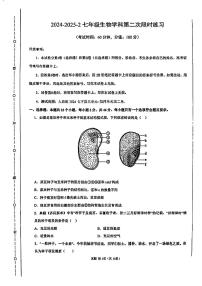 天津市第一中学滨海学校2024-2025学年七年级下学期第二次月考生物试卷（PDF版，含答案）
