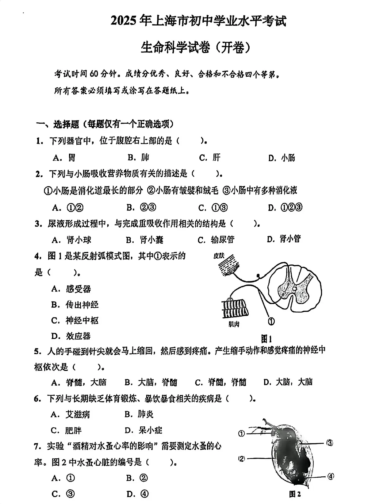 2025年上海市中考生物试卷(PDF版,含答案)第1页