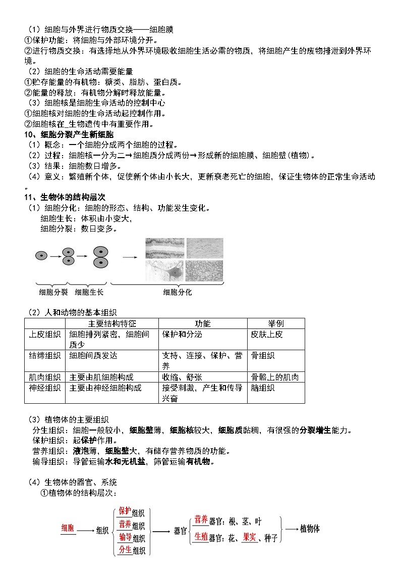 北师大版(2024)七年级上册生物期末复习全册必背知识考点提纲 学案第3页