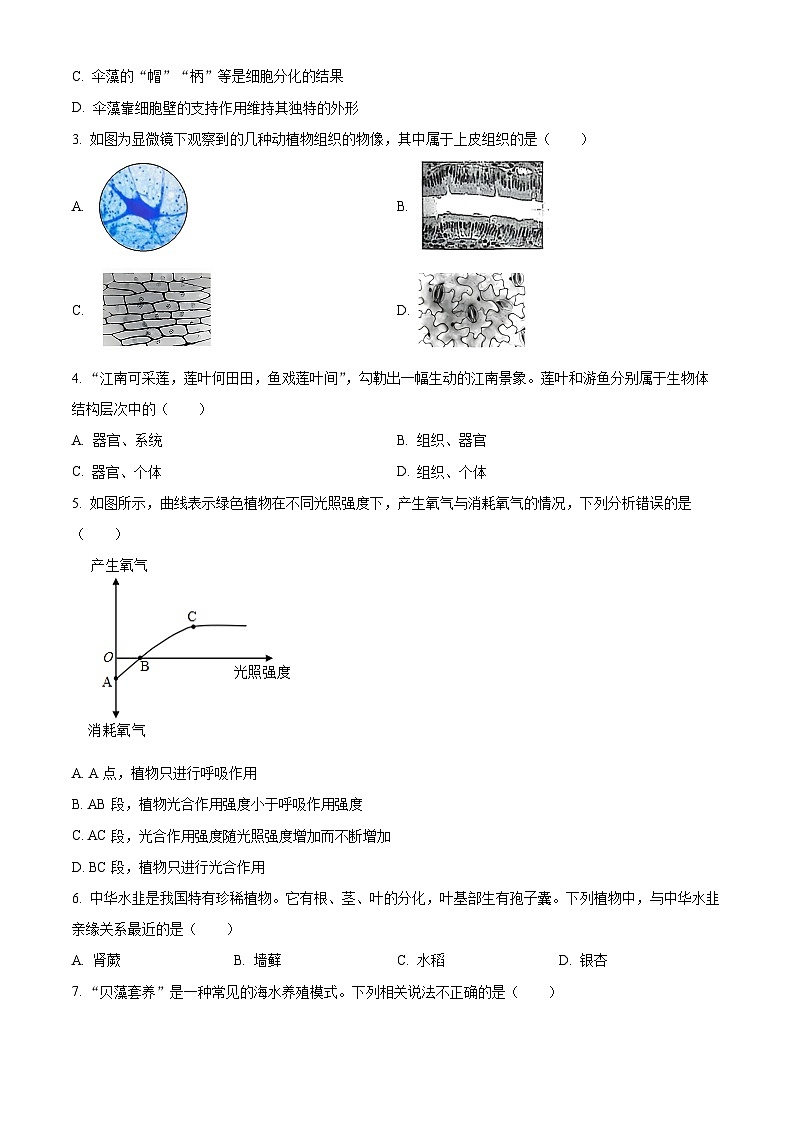 2025年山东省济宁市泗水县八年级中考三模生物试题(中考模拟)第2页